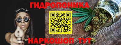 шишки Конаково