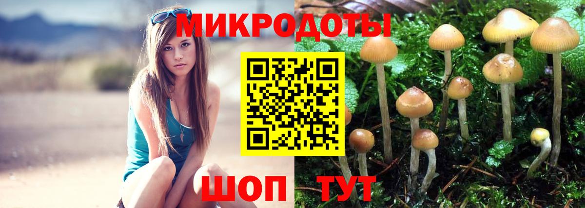 Псилоцибиновые грибы прущие грибы  Вход с VPN  Донецк 